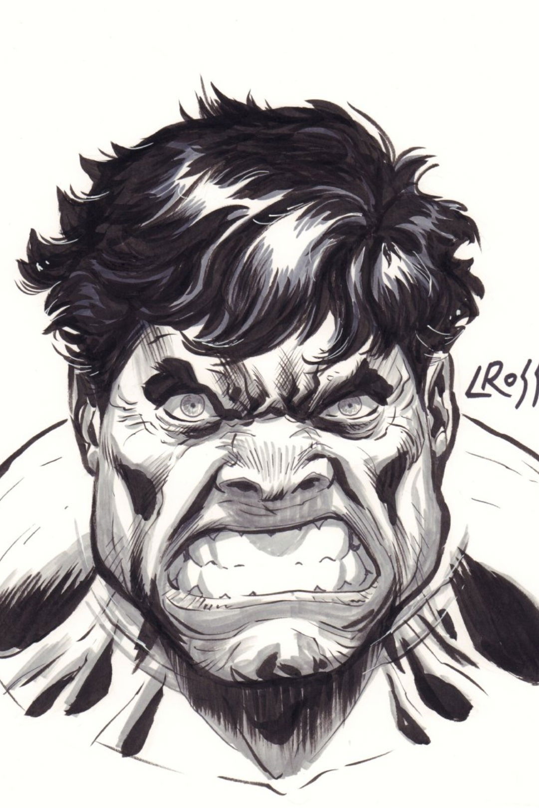 Hulk By Luke Ross In Gregory Tigges S G Reg S Gallery Room Comic Art