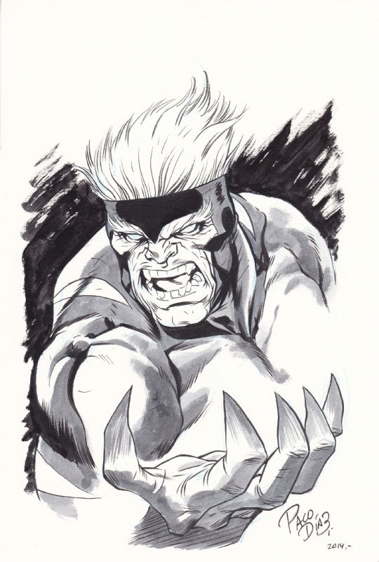 Sabertooth by Paco Diaz, in Leonard Richman's June 2016: X-Men Bad Guys ...