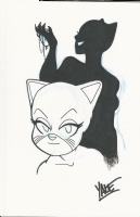 Selina and Shadow by Yale Stewart Comic Art