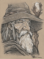 Gandalf the Grey by David Petersen Comic Art
