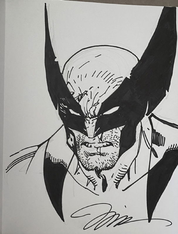 Jim Lee Wolverine , in Andrea Saladino's X-Men Comic Art Gallery Room