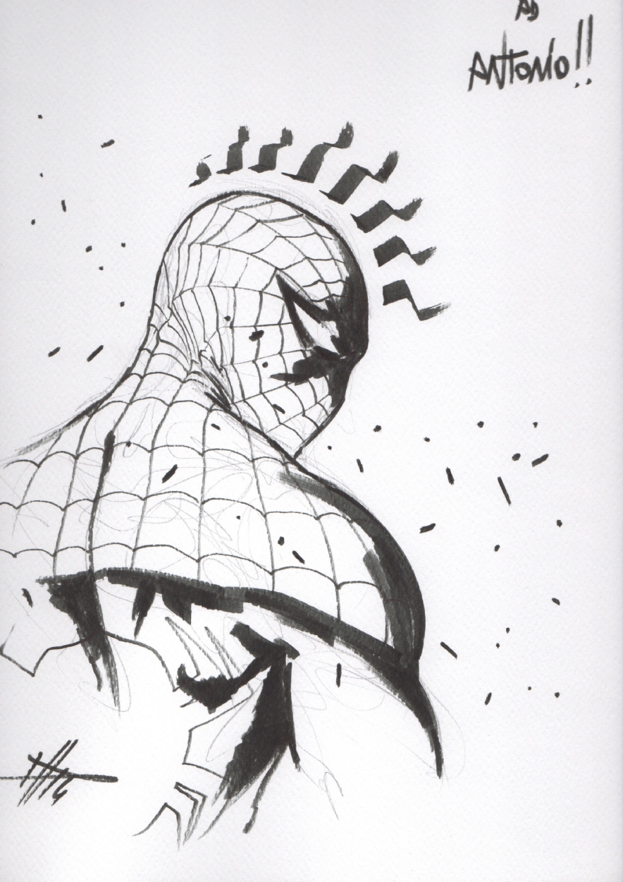Spider-man by Gabriele Dell'Otto, in Antonio Matteini's Sketches Comic Art  Gallery Room