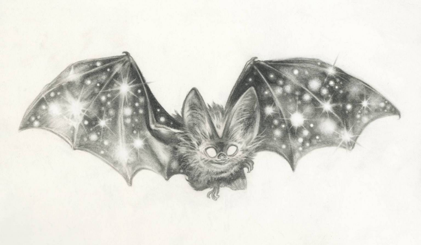 Bat Drawing Images - Free Download on Freepik