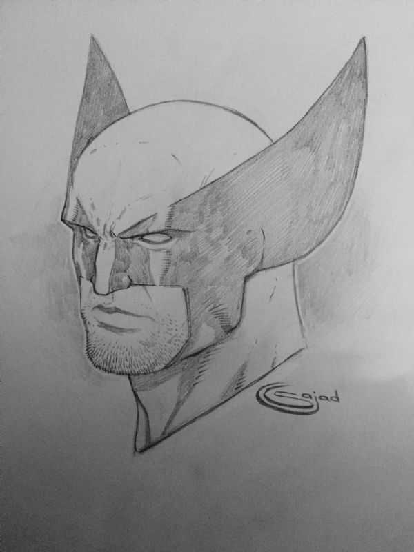 Sajad Shah Wolverine , in Timothy Carr's Wolverine Commissions Comic ...