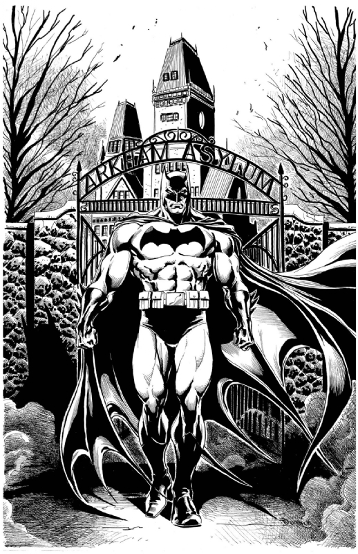 Batman Arkham Asylum by Tom Derenick, in Stéphane S. 's My Pieces Comic Art  Gallery Room