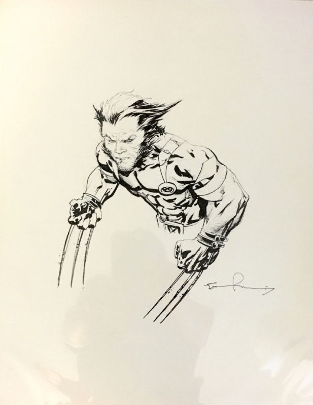 Tom Raney Wolverine Illustration, in Edward Chu's My Gallery Comic Art ...