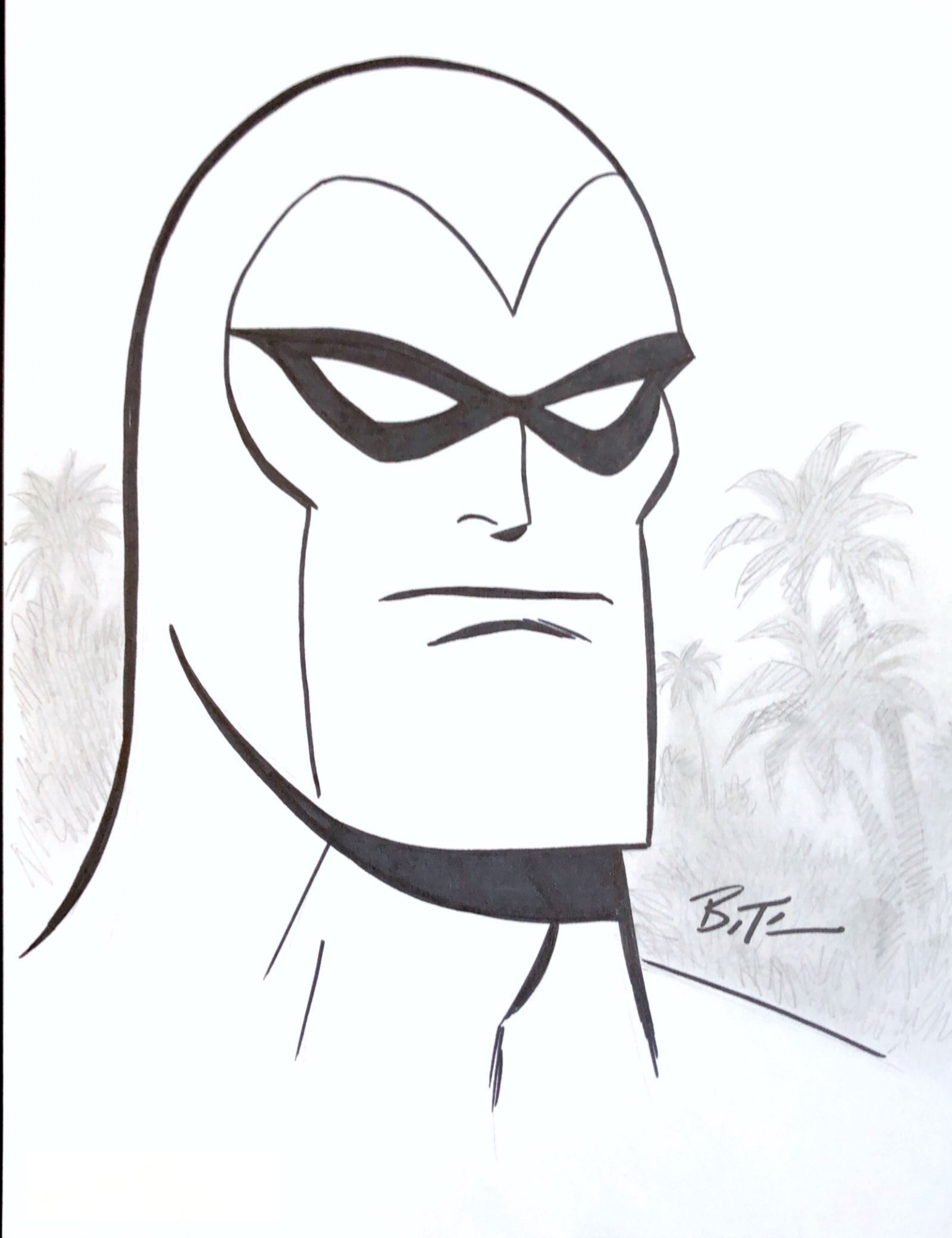 The Phantom by Bruce Timm, in kent mansley's Bruce Timm ...