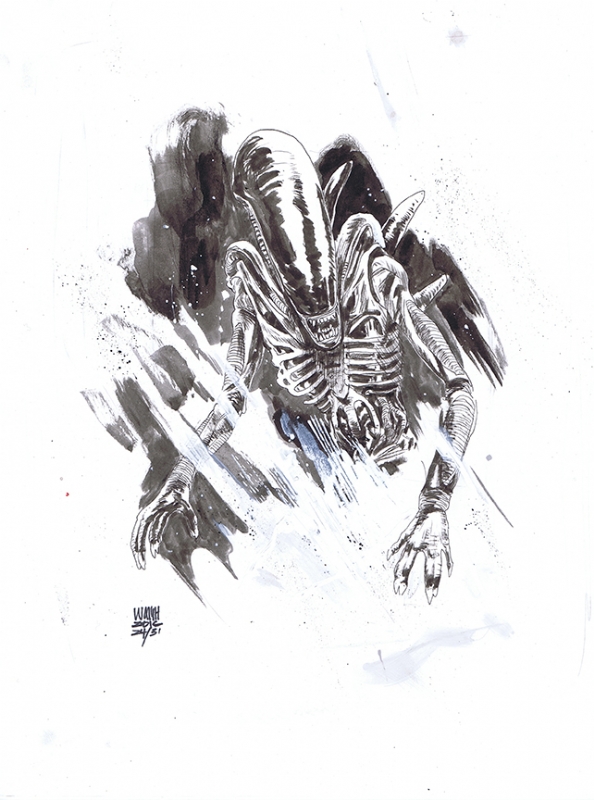 Alien Xenomorph In Bryan Clark S Aliens Vs Predator Comic Art