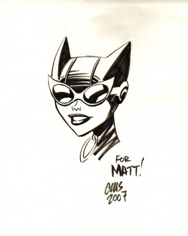 Catwoman By Cameron Stewart In Shdy Matts New York Comic Con 2007 Comic Art Gallery Room 6478