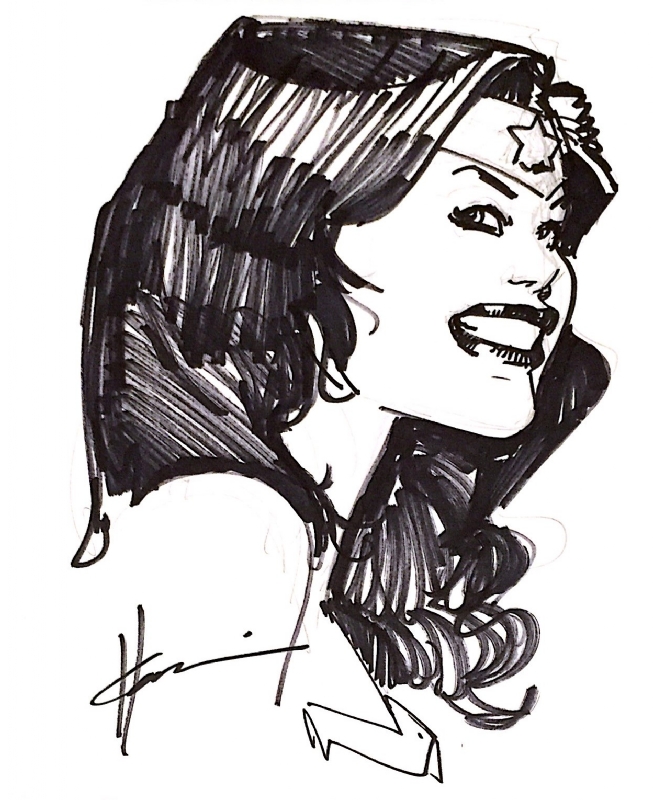 Wonder Woman Illustration by Howard Chaykin, in R M's Sold Comic Art ...