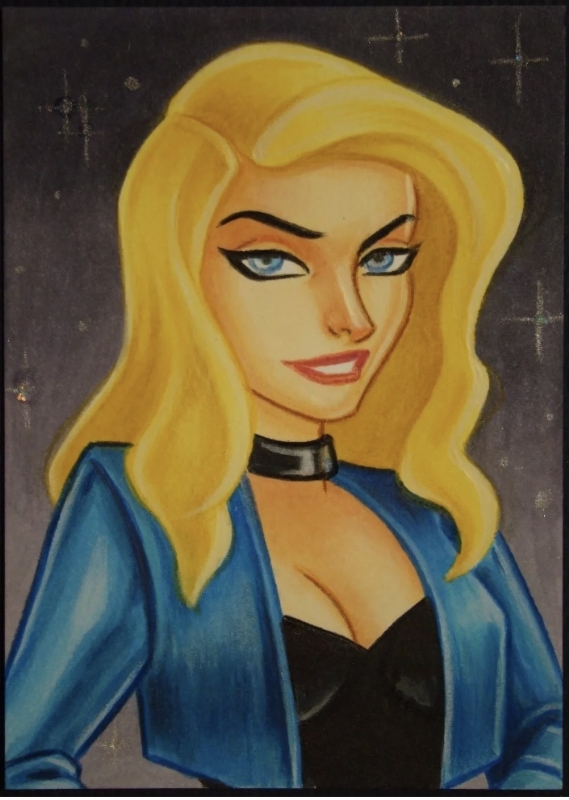 Black Canary In Jack Larsen S Dc Black Canary Comic Art Gallery Room