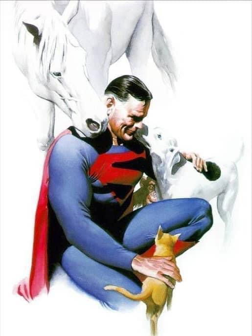 Alex Ross Super Pets In Sal Abbinanti S ALEX ROSS SPRING Comic Art Gallery Room