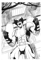Wolverine illustration by David Enebral Comic Art