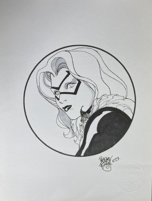 Black Cat by Pasqual Ferry , in Chad Knopf's Suitable for Framing Comic ...