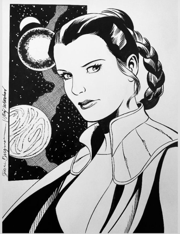 Princess Leia Organa by June Brigman and Roy Richardson, in Chad Knopf ...