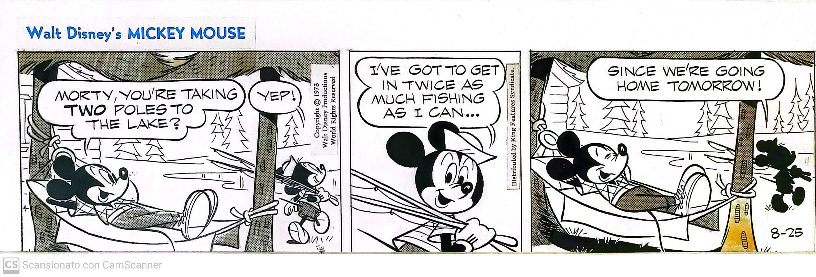 Mickey Mouse - Daily strip 8.25.1973, in Alessandro Tampieri's