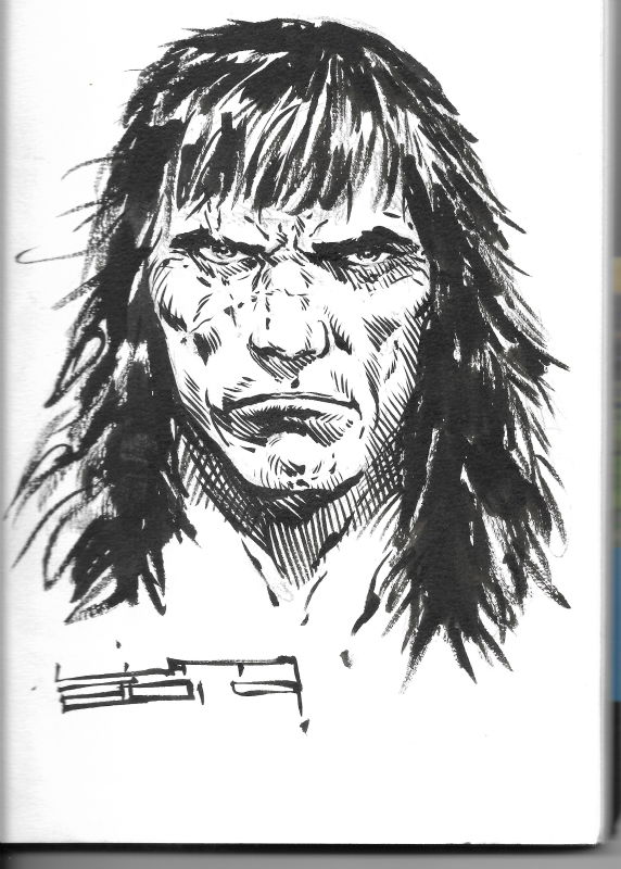 Conan by Liam Sharp, in Jason Frith's Convention Sketches and ...