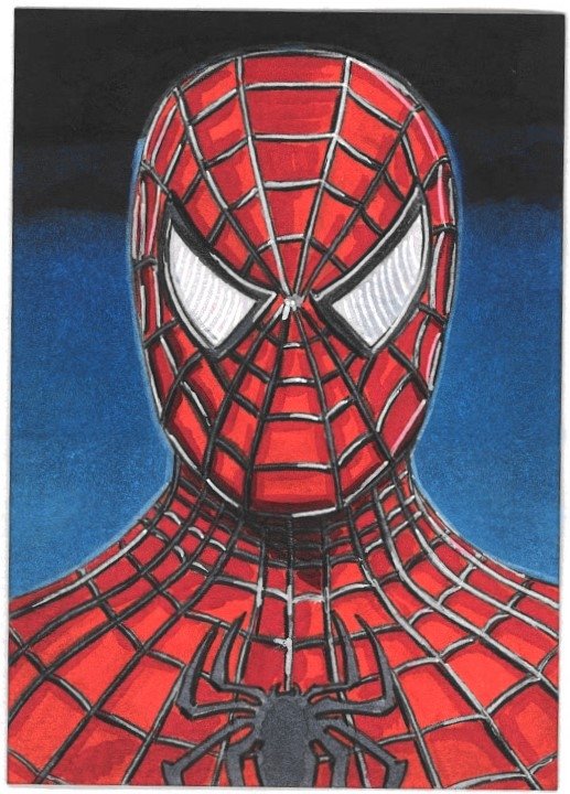 Tobey Maguire Spider-Man sketch card by James Lee Jones (ALL), in James  Posey's Purchased art Comic Art Gallery Room