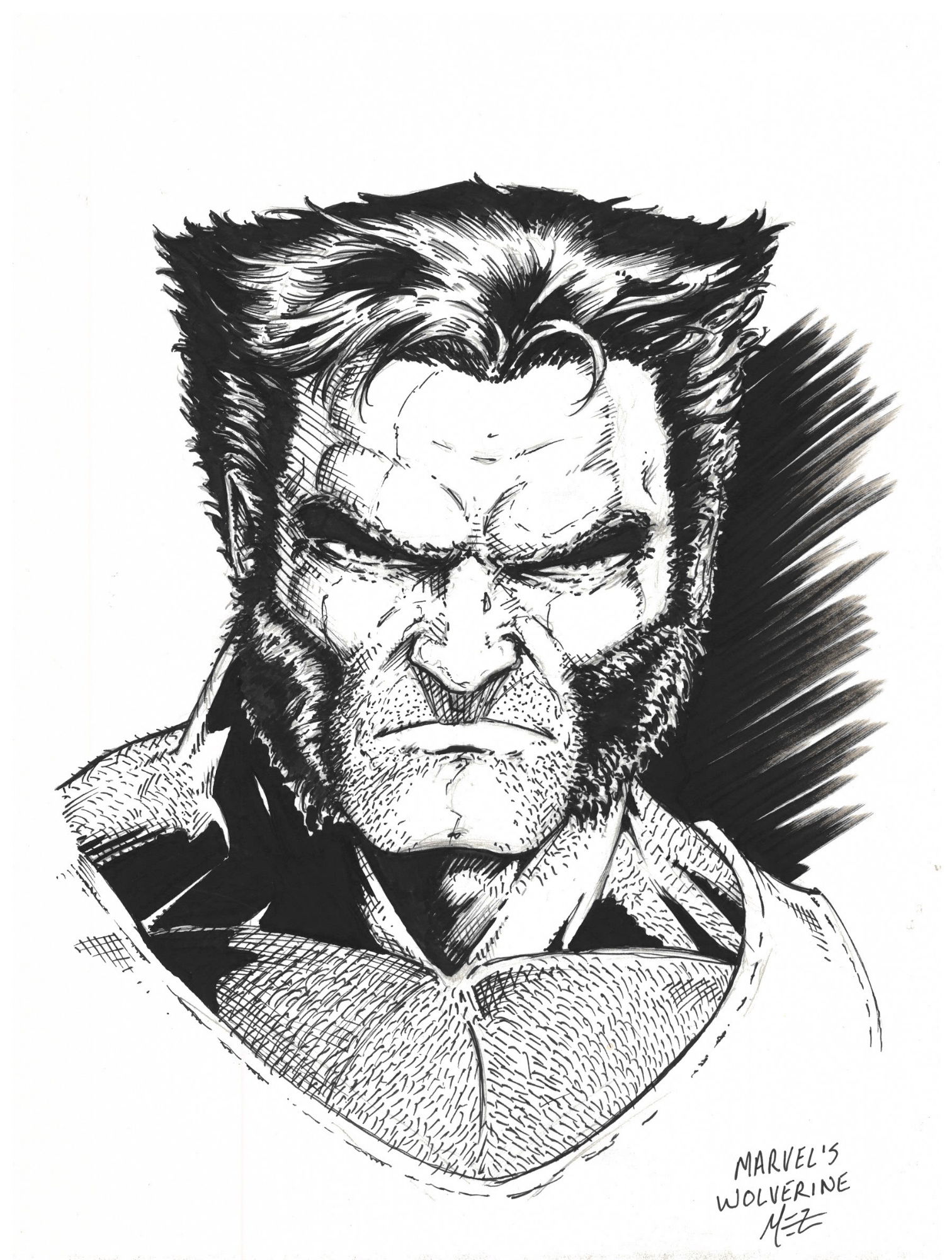 Logan (Wolverine/James Howlett) By Mike Mez Phillips (ALL), In James ...