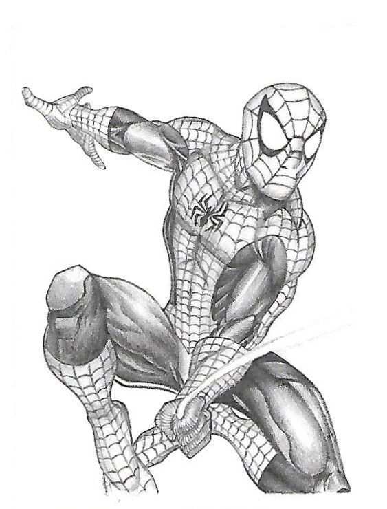 black spiderman pencil drawings