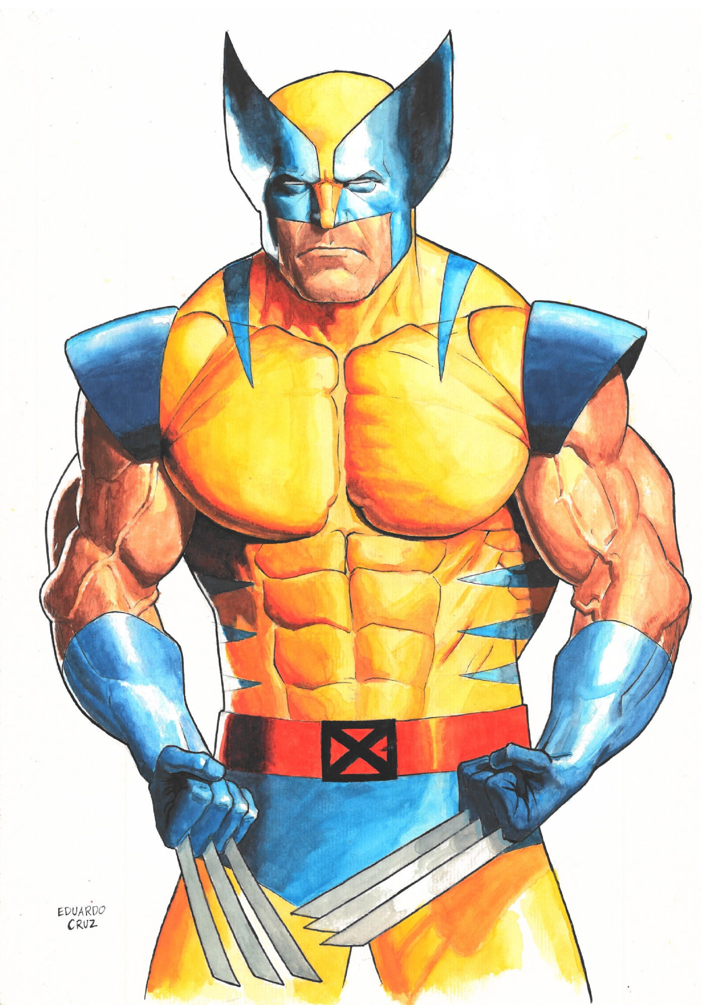 Wolverine Watercolor By Eduardo Cruz (ALL), In James Posey's Purchased ...