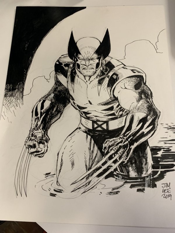 30 Wolverine Cartoon Character Sketches