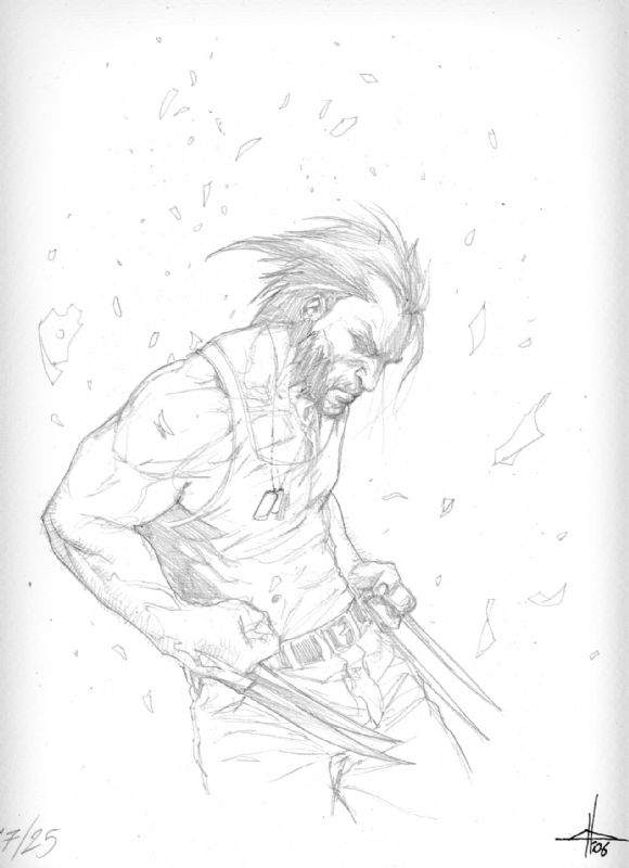 Wolverine-Logan before coloring, in Achim Reinecke's Dell'Otto ...