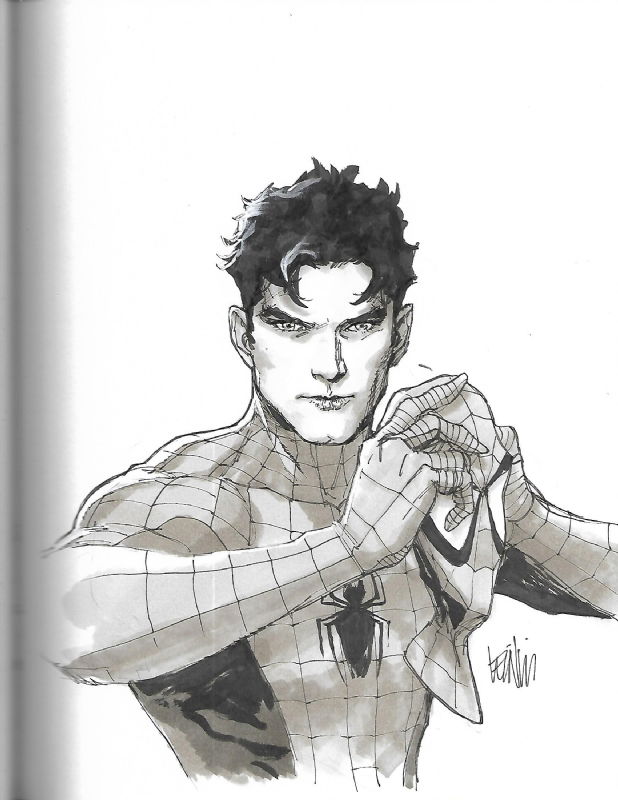 Peter Parker Spider-Man by Leinil Francis Yu, in Ryan Hookano's ...