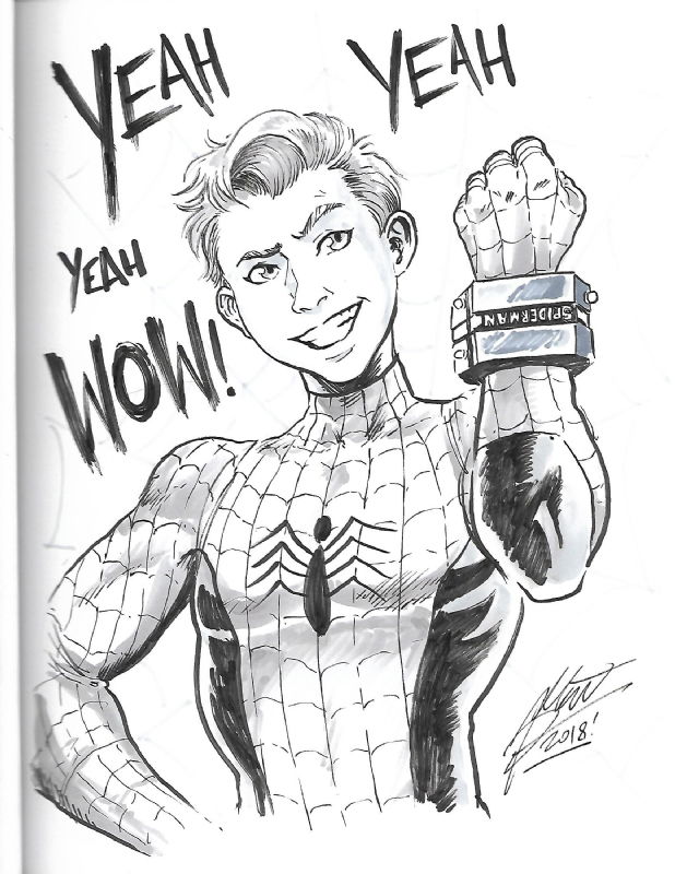 Peter Parker Spider-man by Matt Frank, in Ryan Hookano's Commissioned ...