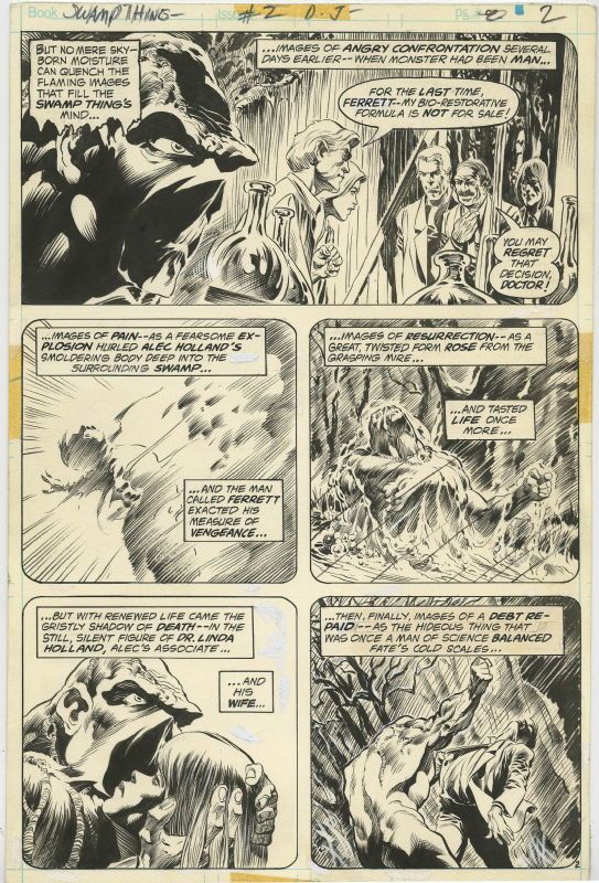 SWAMP THING #2 PAGE ( 1972, BERNIE WRIGHTSON ) STUNNING ONE PAGE ORIGIN ...