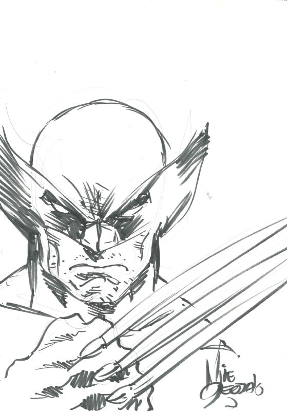 Wolverine Sketch By Mike Deodato Jr., In João Vilela's Convention ...