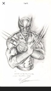 AWESOME WARNING: Wolverine 2 - Mark Texeira Comic Art #PunisherApproved  #wolverineWednesday