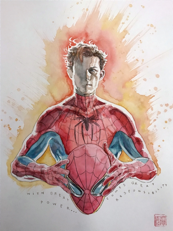 Spider-Man - David Mack Comic Art