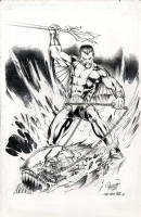 Defenders: Namor the Sub-Mariner by Carlo Pagulayan and Jeff De Los Santos  Comic Art