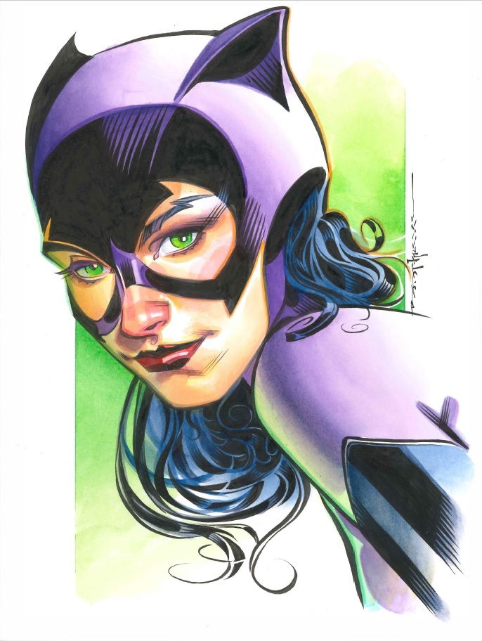 Catwoman By Brian Stelfreeze, In Evan B's Commissions Comic Art Gallery ...