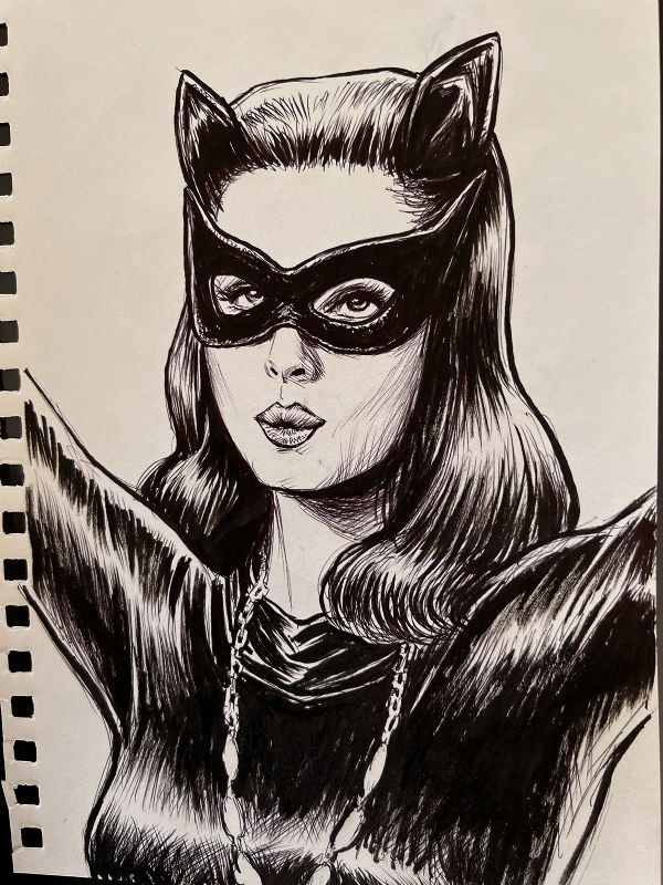 Catwoman by Russ Braun 2022, in Randy Silvia's Current Collection Comic ...