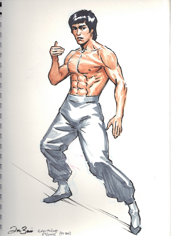 Bruce Lee by Tu Bui (Sac-Anime 2015), in Theo Ward's Con Sketches Comic Art  Gallery Room