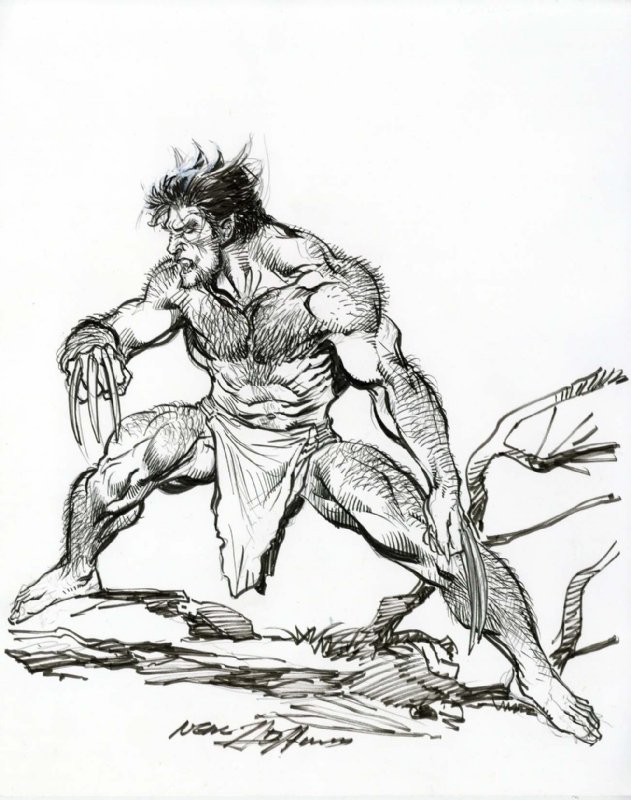 Wolverine by Neal Adams, in Linda Craig's Commissions, sketches, and ...