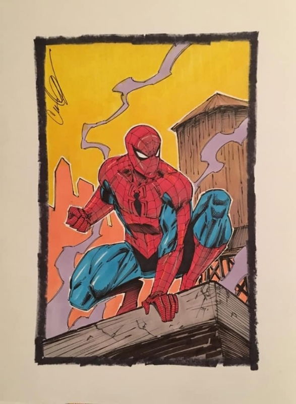 SPIDER-MAN By Cory Hamscher , In PATRON OF COMIC ART's FORMERLY OWNED ...