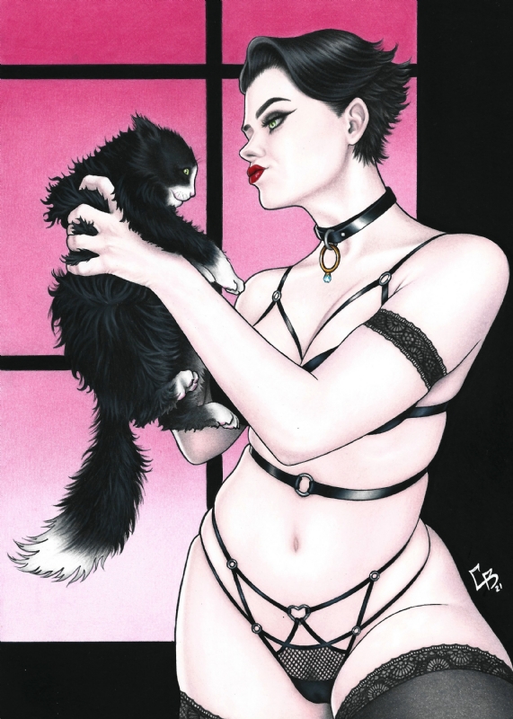 Selina kyle Catwoman Comic Art