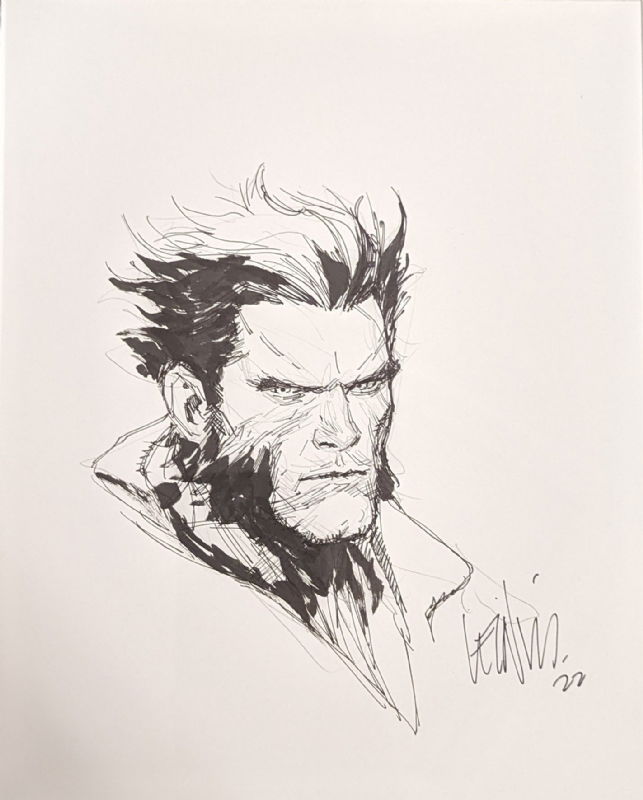 Leinil Francis Yu Wolverine Sketch Original Art, in E B's Sketches ...