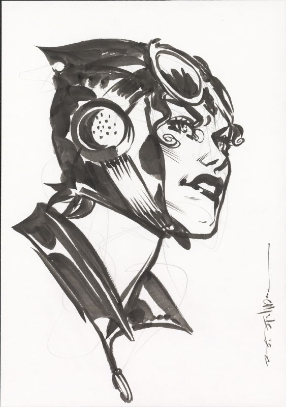 Catwoman - Brian Steelfreze, in Pedro de la Ossa Anton's Commissions ...