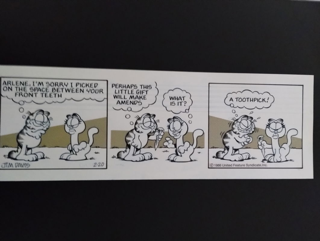 Garfield Comic Strip 2-20-1989, In Michael Hosey's Garfield Newspaper 