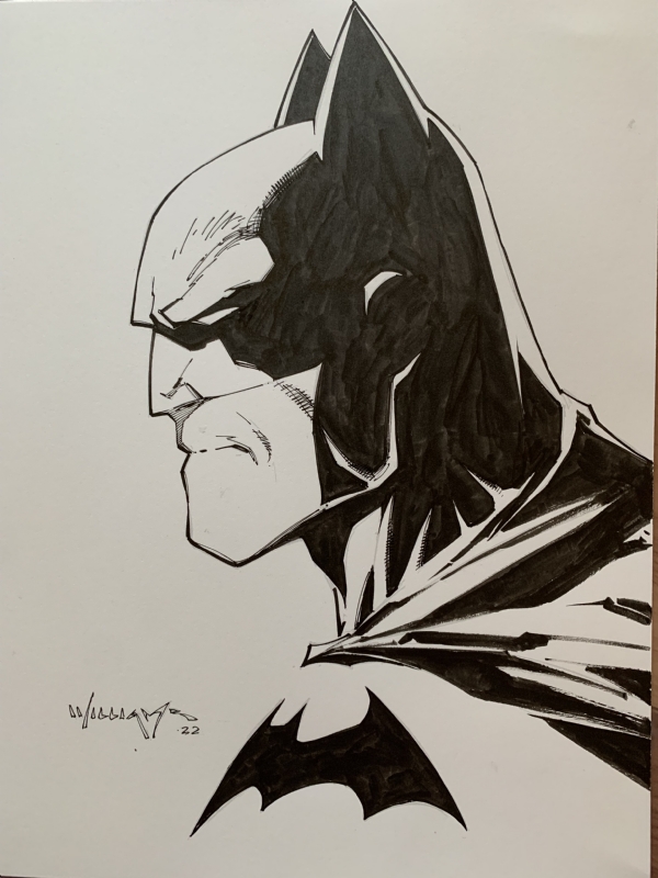 Batman Head Sketch (Scott Williams), in E C's Sketch Room Comic Art Gallery  Room