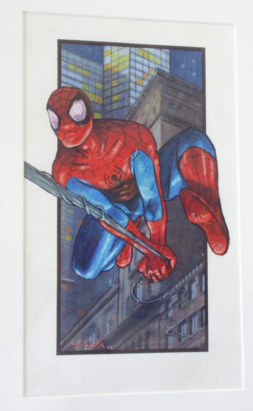 Spider-Man by Scott Sava, in Paul DeDomenico's Illustrations Comic Art ...