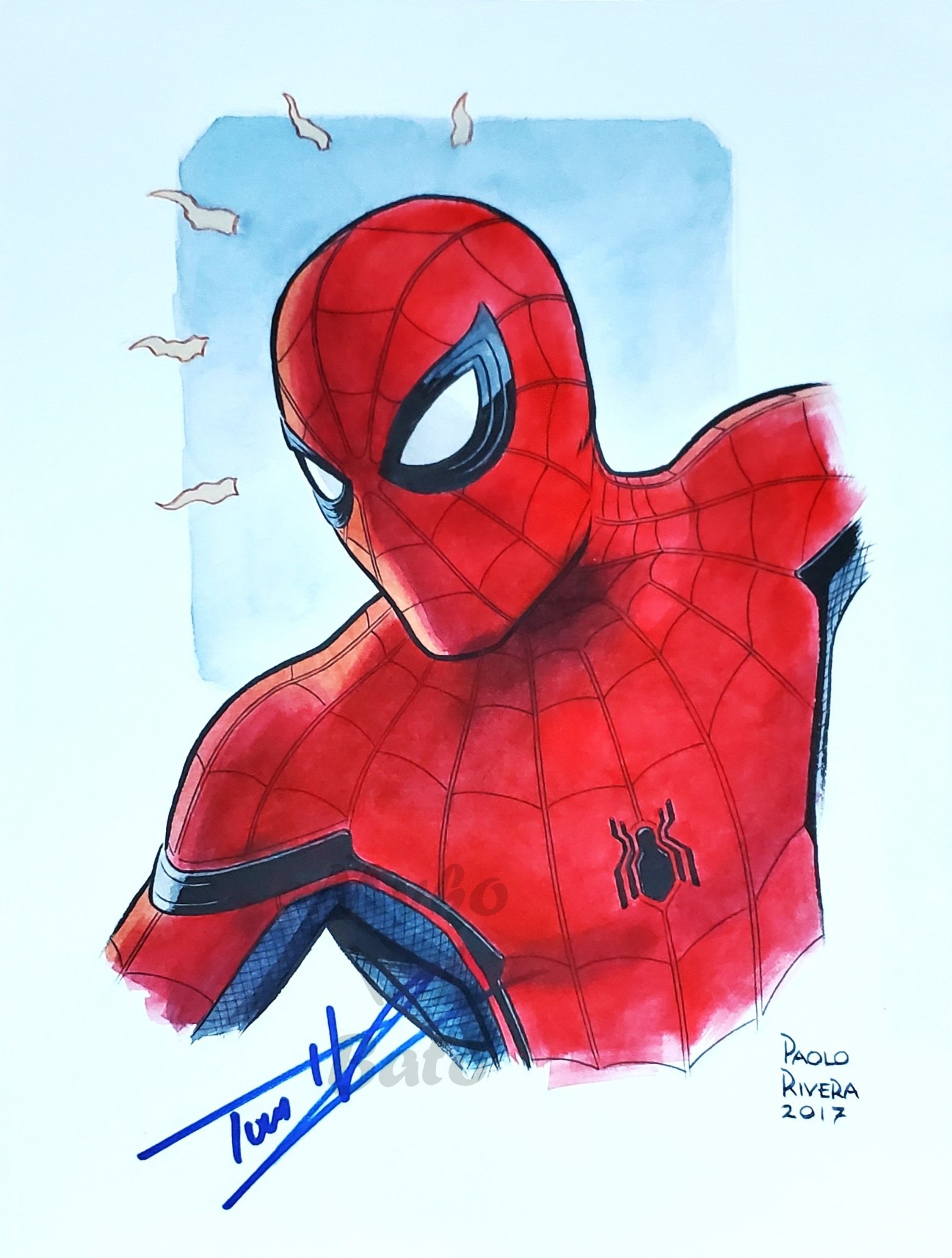 Spider-Man: Homecoming | Spiderman drawing, Spiderman art, Amazing spider