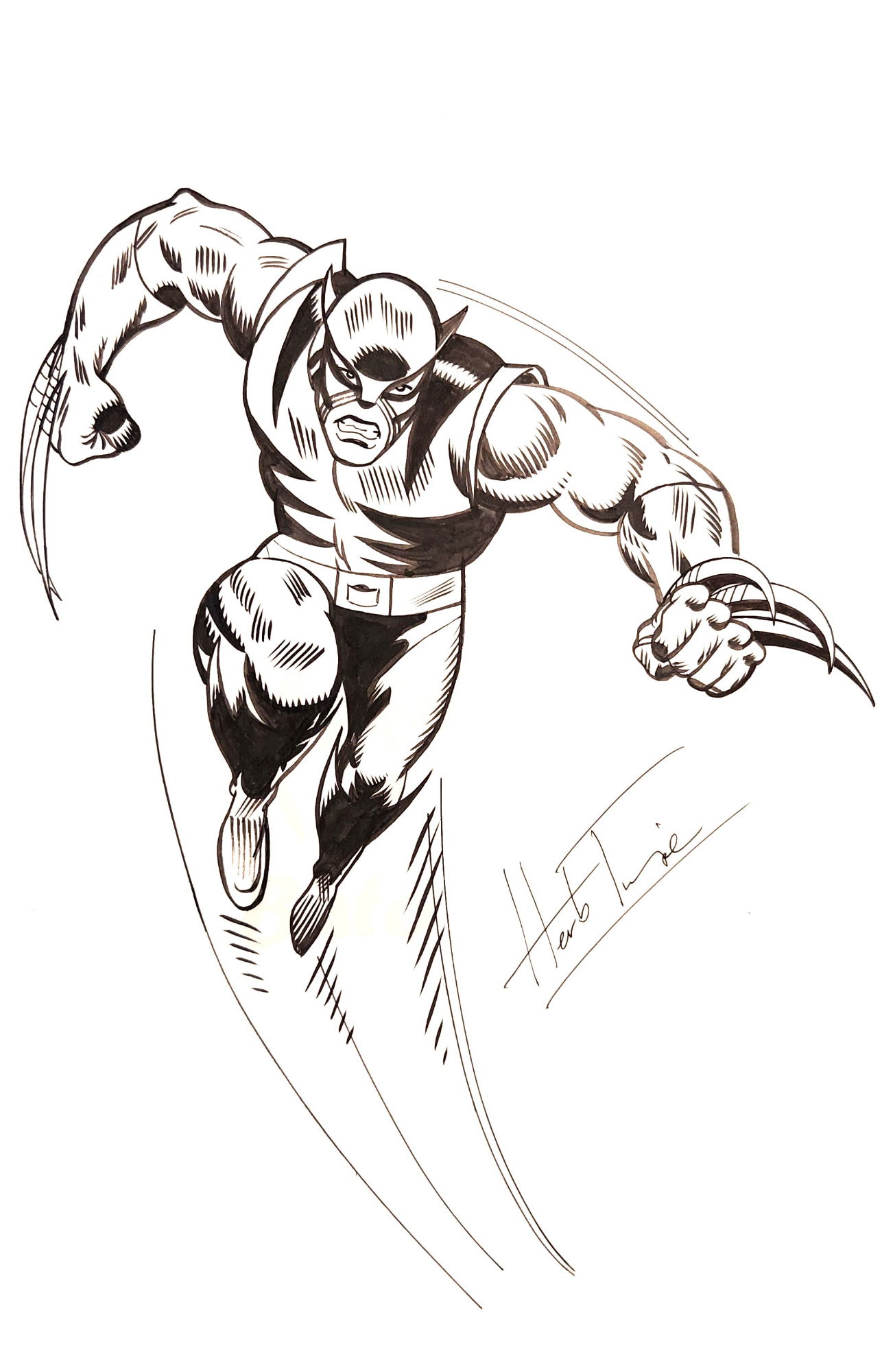 Wolverine (B/W)- Trimpe, In Myko Bato's Commissions- Sketches (Rare ...