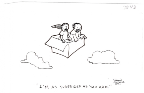 Shannon Wheeler New Yorker submitted Gag Cartoon - Surprised, Comic Art