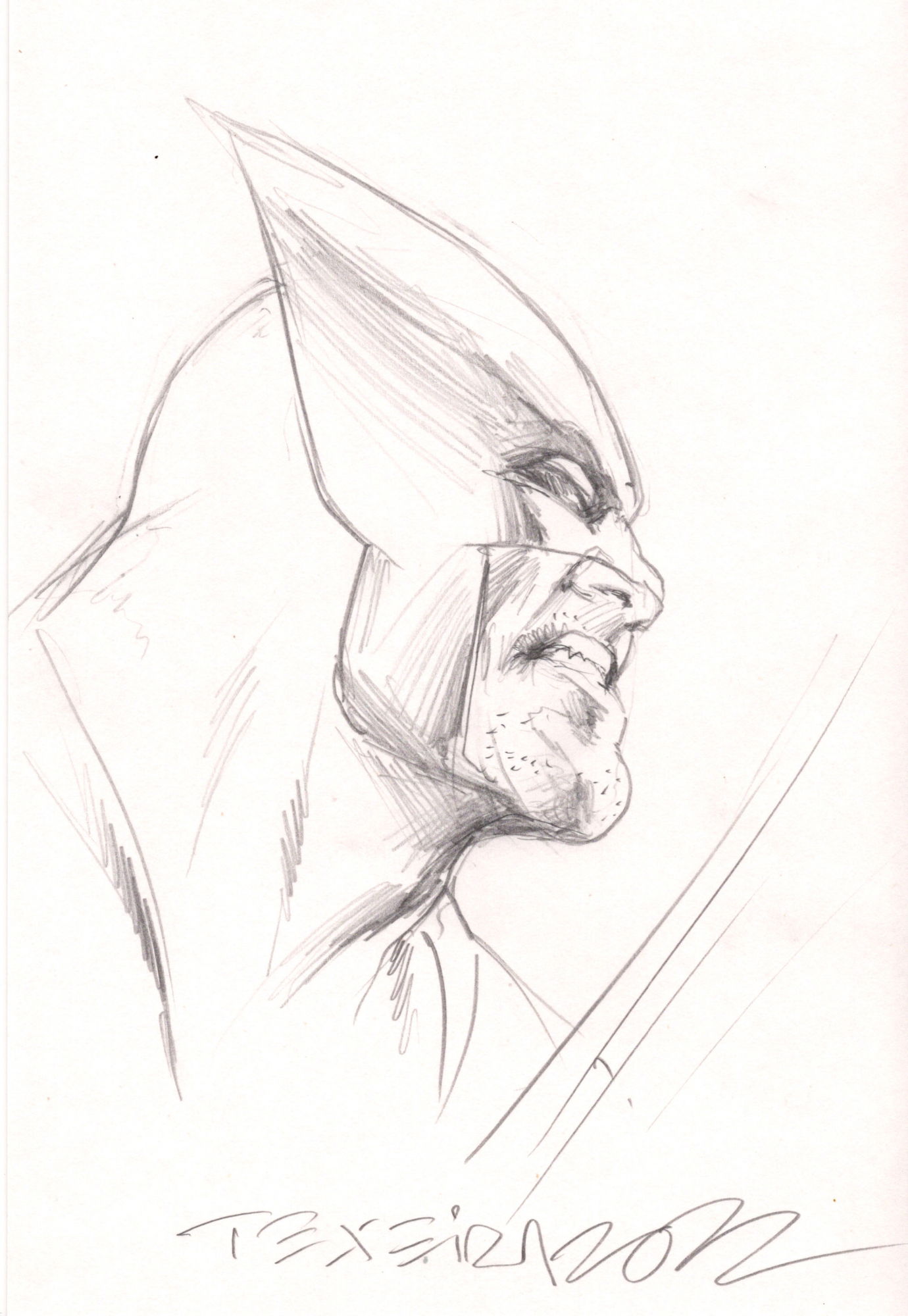 Wolverine, in Shane Simek's X-MEN Sketches and Commissions Comic Art ...