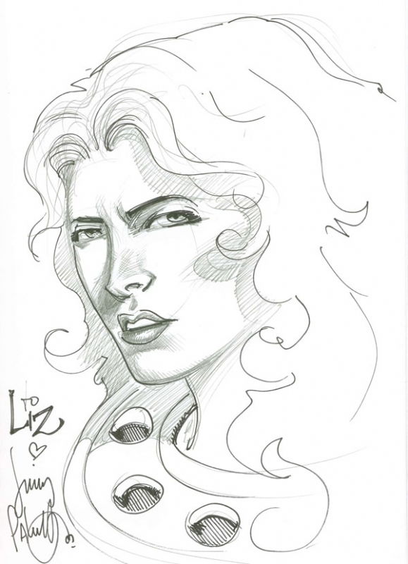 Jimmy Palmiotti Starfire, in Elizabeth Hartley's Elizabeth's Stuff -n ...